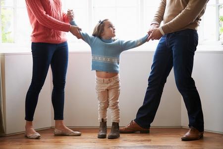 Wheaton, IL divorce attorney GAL