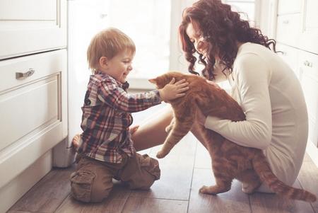 Wheaton custody lawyers