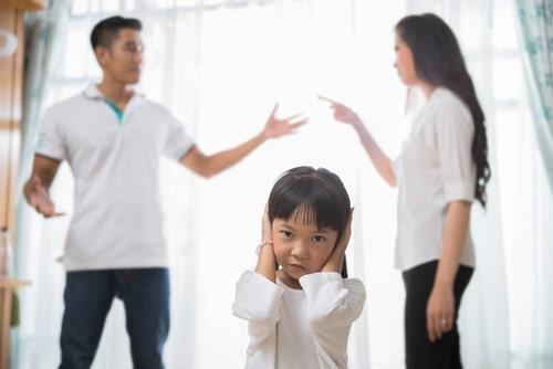 DuPage County Family Law Attorney