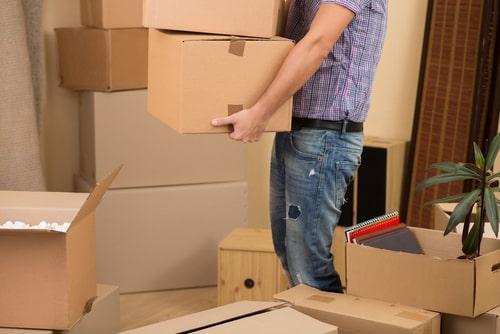 DuPage County Parenting Plan Lawyer