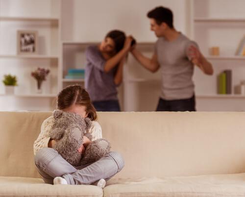 Wheaton, IL divorce lawyer